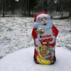mikkoflanski