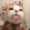 nubakachi179