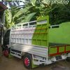 www.tictok.comdhanil