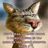 user4611168740203
