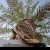 jay.j.08