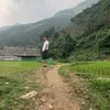 tam.mao118
