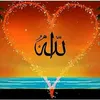 shawnm_sharif