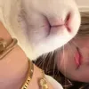 top1ahri