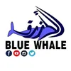 #Blue_whale⚽️_الحوت_الازرق#