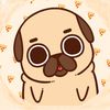 pug_nite