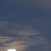 mc_.442