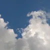ronitoktik