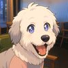 sheepdog_gganbu