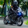 r15leonine
