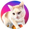 bowiethemeow