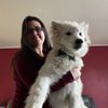 happyhuskypack