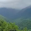 hiepxuan537