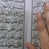 sayarsafi66666
