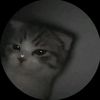 jur_7e