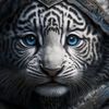borju_09