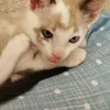 jasmin_jas_0909