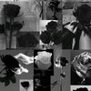 phayvour02
