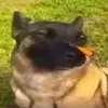 oscarr_0808