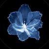 kom1_hq