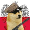 towarzyszdoge