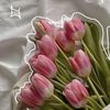 adela_tk0