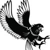 phantom_flyer