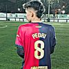 sebx_assx
