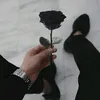 a8w_bs