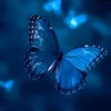 imyour_helen4