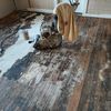 floormansands