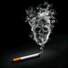 24_agayev