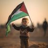 zafir_43
