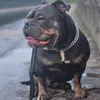 jesterjefferson