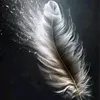 rali__m