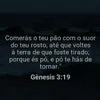 alelucas41