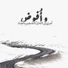 abdeen393