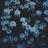 _no_name_2285