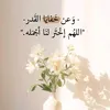 1ahmed973