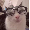 edulimao_