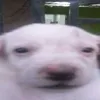 duhaaikohddjudbffbfifn2h