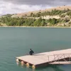 lafarosa