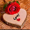 secrett326