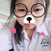 pamgemx.t