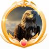 amineofficiel310