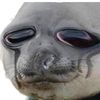 cry1ng_s3al