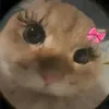 slil_o23