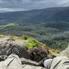 haroldp_7
