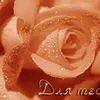 Ирина0460