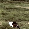 ini_ikmal_yak